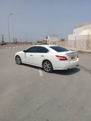 Nissan Maxima 2010