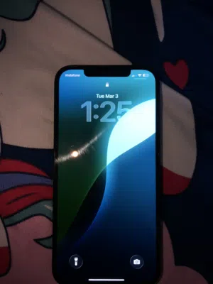iPhone 12 pro max