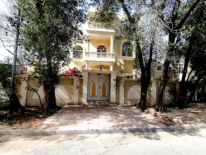 ‏أكثر من 6 غرف ‏.‏ أكثر من 6 حمامات ‏.‏ 700 م٢‏3