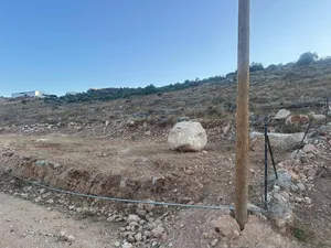 الاستخدام المتعدد . 1000 م٢ . المالك2