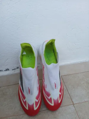 F50 lamin yamal