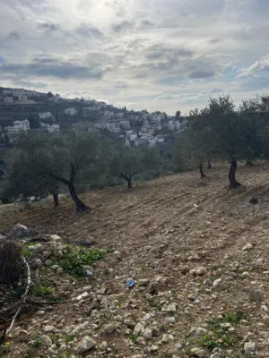 قطعة ارض مربعة الشكل