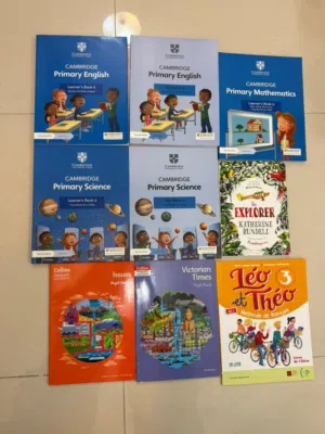 Year 6 books British Curriculum