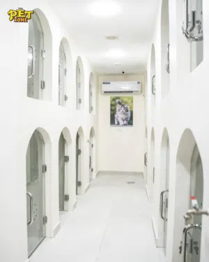 فندق القطط الفاخر (( THE PET ZONE CENTER))مركز تدريب الكلاب والفندق الفاخر للكلاب والقطط —