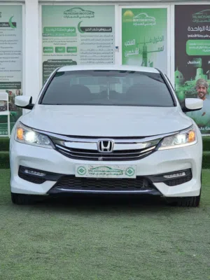 Used Honda Accord in Muscat