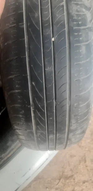 قومه 14 نظيفة
