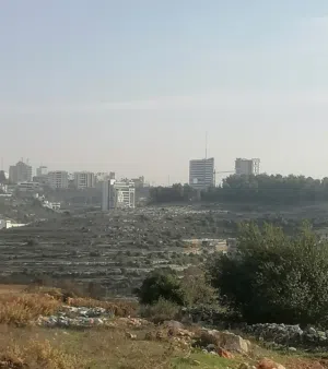 Residential Land for Sale in Ramallah and Al-Bireh Abu Qash