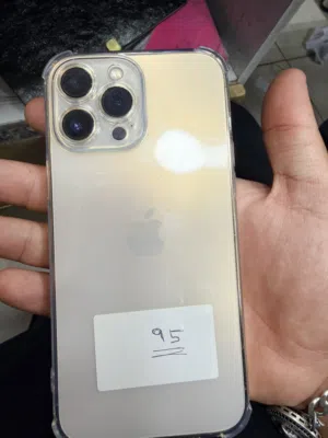 iPhone 13 Pro Max