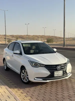 Well-maintained car