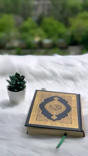 منيف سالم 7 