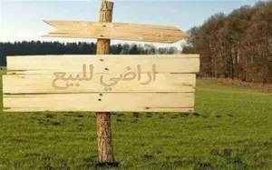 Residential Land for Sale in Salt Ein Al-Basha