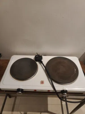 Electric double hot plate