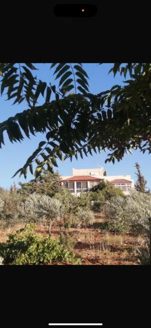 400 m2 More than 6 bedrooms Villa for Sale in Jerash Qafqafa