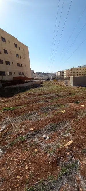 Residential Land for Sale in Amman Al Bnayyat