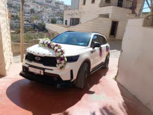 طارق كوازبه 