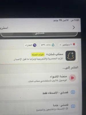 Accounts - Others Accounts and Characters for Sale in Sharjah