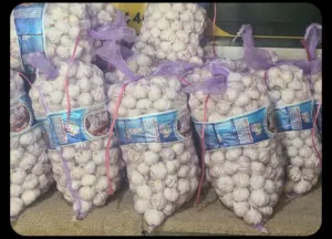 ثوم يمني ممتاز بأحجام متنوعة من الكبير إلى الوسط والصغير