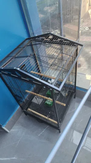 قفص للطيور مع اكسسوارته Cage for birds and some accessories