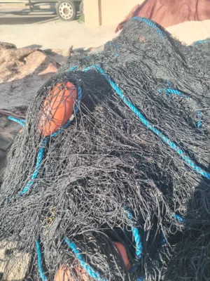 لياخ 30 خمس قطع رغب 8 حلوات