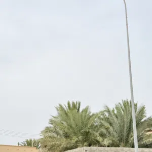 مجهول 