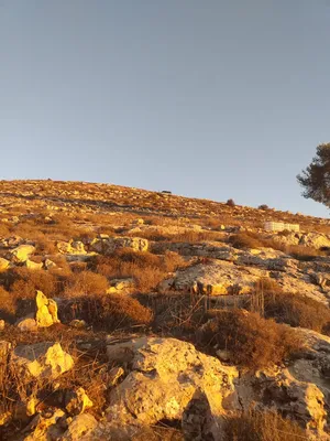 Residential . 700 m2 . Landlord3