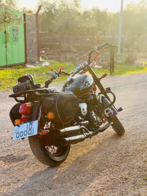 باندا كلاسيك (2018)للبيع