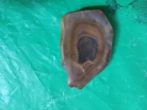 احجار سلطاني