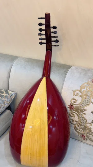 عود موسيقى