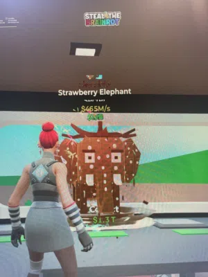 الستروبري الفنت التشوكلت ب 5 دينار وقابل للتفاوض