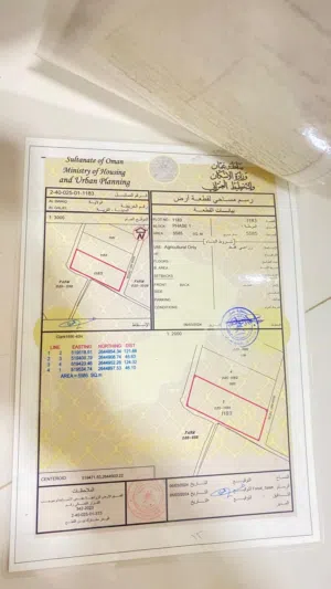 ارض زراعيه