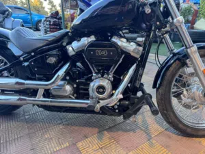 Softail Standard 2021