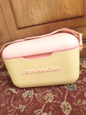 صندوق حافظه ثلج للنزهه خارج المنزل تحفظ الايسكريم والمشربات بارده ومثلجه لمده طويله