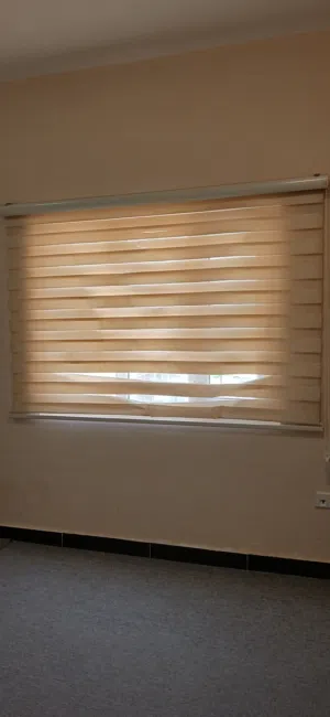 زوالي كاربت
