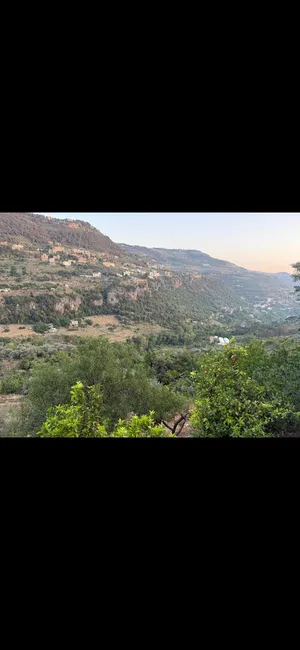 ‏مفروشة ‏.‏ شهري‏0