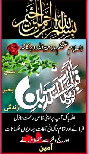 amer shazad 