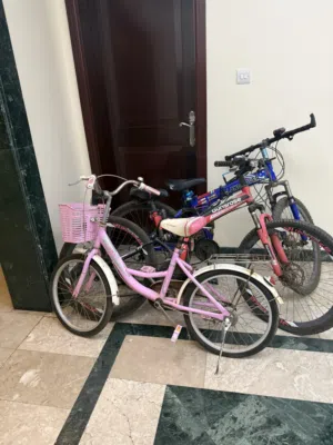 Pink bicycle