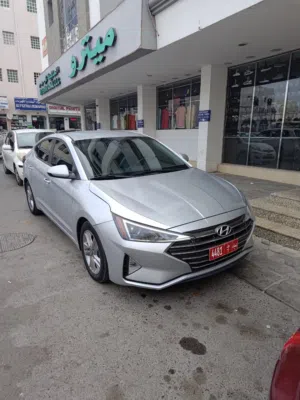 Used Hyundai Elantra in Muscat