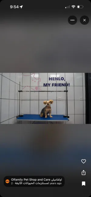 40 m2 . Landlord2