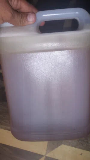 جلون عسل يمني سدر اصلي 6كيلو ونص دبه عسل سدر اصلي 6كيلو ونص