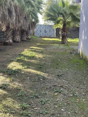 Farm . 2000 m2 . Agent0