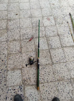 قصبات بمطور فى حالة جيدا