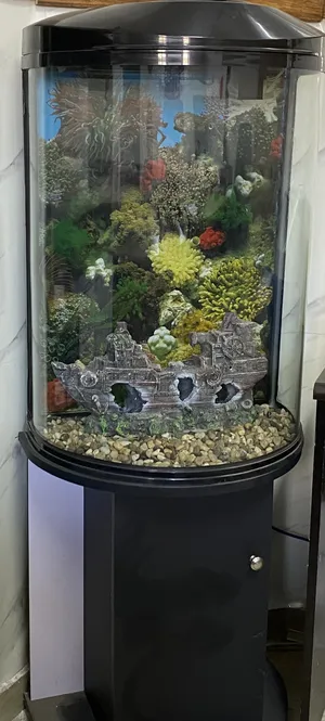 ‏اسماك‏2