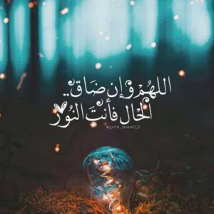 ابوبكر الشيخ 