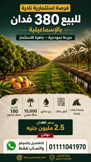 380 فدان مانجو + 15 ألف نخلة بالإسماعيلية  فرصة استثمار زراعي نادرة