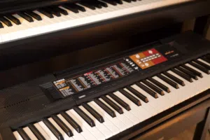 للبيع أورج ياماها مستخدم