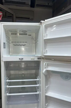 LG Full Size fridge