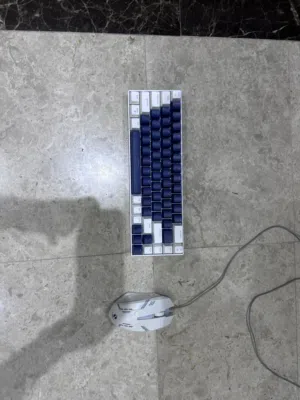 Keyboard and mouse