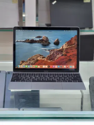 Apple Macbook A1534 2017  Processor 8gb Ram 500gb Ssd Original Type-C Charger And Bag