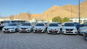 Toyota . Yaris . Daily0