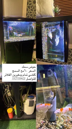 حوض سمك ممتاز وكبير